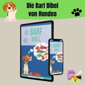 Die Barf Bibel von Hundeo. barfen für Hunde und Bedeutung