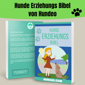 Hunde Erziehungs Bibel von Hundeo. Für alle Hundebesitzer geeignet