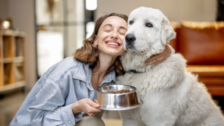 Hundeernährung und Hundefütterung - Hundeschule und Training